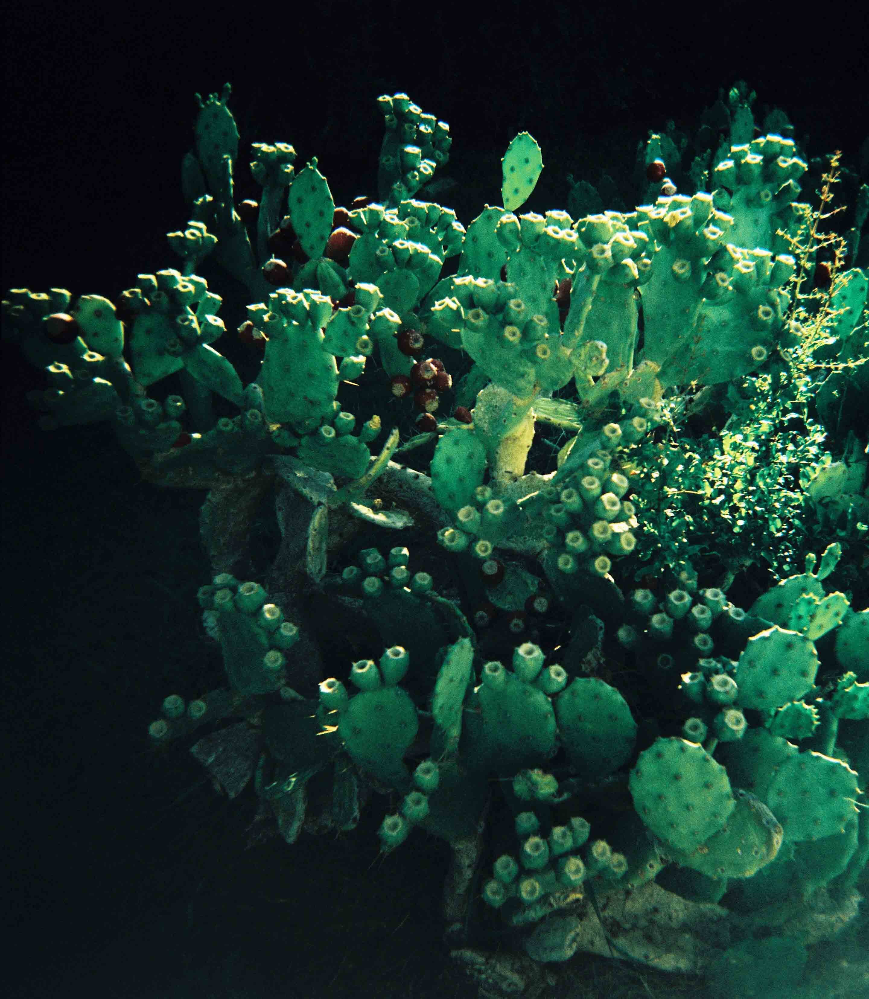 Ziad Antar, <i>Untitled</i>, 2025. Photograph printed on canvas, 78 3/4 x 78 3/4 in (200 x 200 cm)